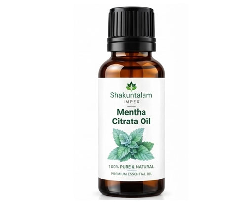Mentha Citrata Oil
